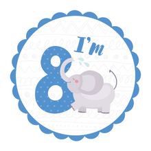 Load image into Gallery viewer, I'm 8 Birthday Elephant Lollipop