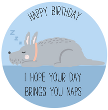 Load image into Gallery viewer, Dog Naps Birthday Lollipop - Suck It & Say