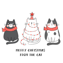 Load image into Gallery viewer, Merry Christmas From The Cat Lollipop