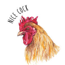 Load image into Gallery viewer, Flirty Male Small Lollipop Set