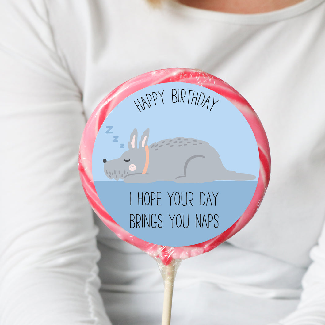 Dog Naps Birthday Lollipop - Suck It & Say