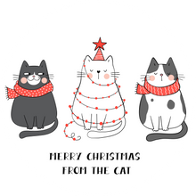 Load image into Gallery viewer, Merry Christmas From The Cat Lollipop
