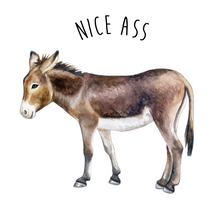 Load image into Gallery viewer, &#39;Nice Ass&#39; Donkey Lollipop
